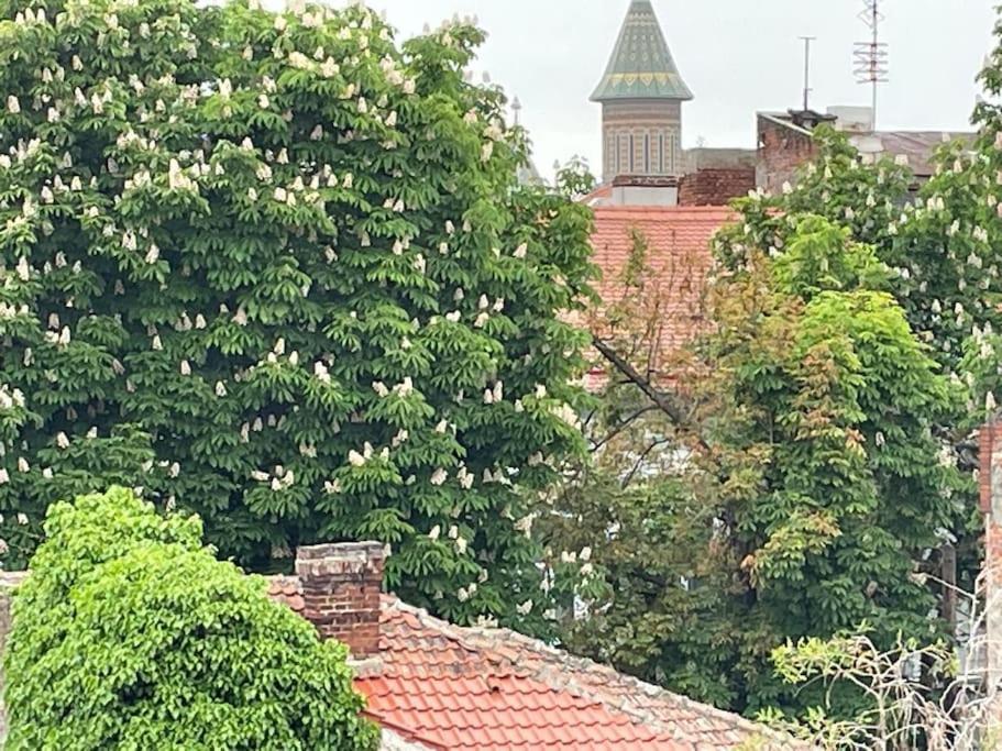 Central, Big Terrace, Near River Тимишоара Екстериор снимка