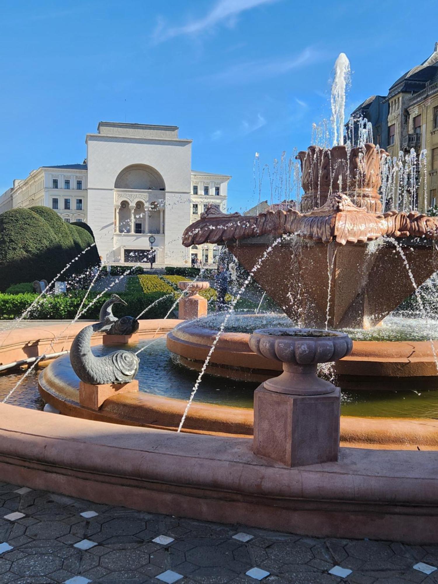 Central, Big Terrace, Near River Тимишоара Екстериор снимка