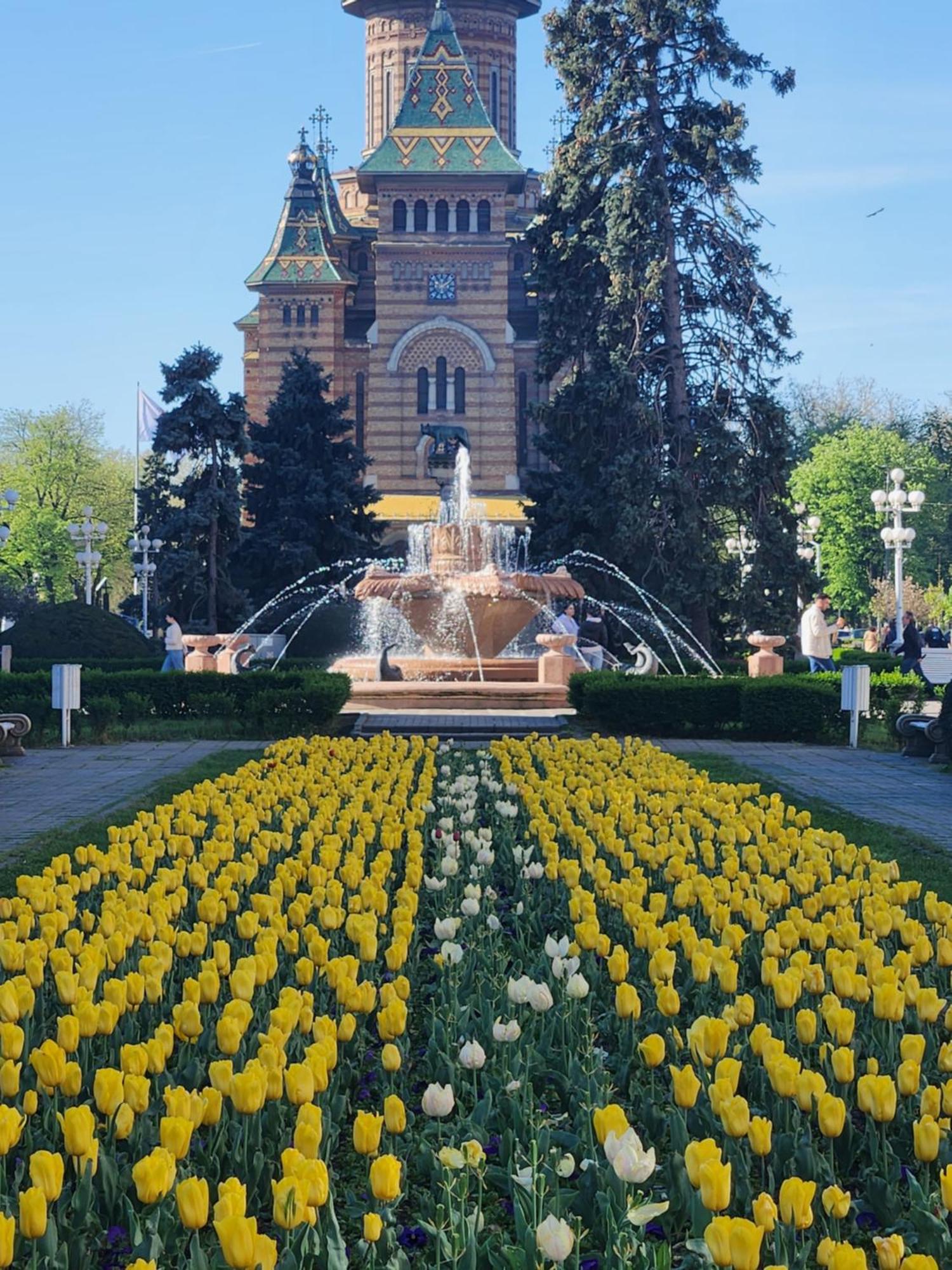 Central, Big Terrace, Near River Тимишоара Екстериор снимка